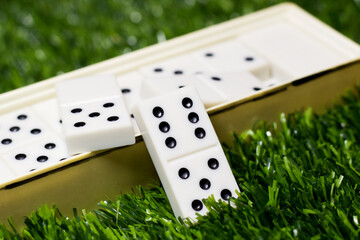 Classic dominoes on the grass, an intellectual game