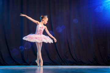 little girl ballerina is dancing on stage in white tutu on pointe shoes classic variation. - obrazy, fototapety, plakaty