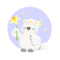 A cute parrot is holding a spring flower. On the head is a wreath of daffodils. Vector cartoon cockatoo in kawaii style.