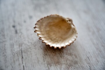 Close-up of yellow-orange seashell