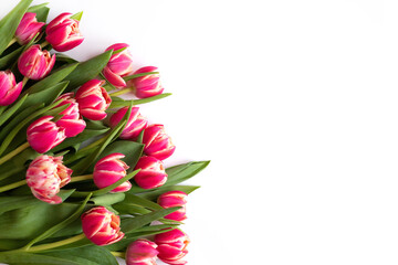 Bouquet of pink tulips on white background. Mothers day, Valentines Day, Birthday celebration concept. Greeting card. Copy space for text, top view