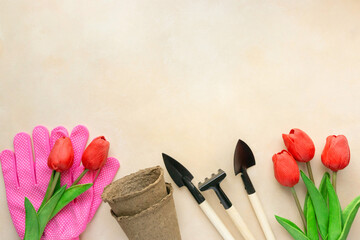 Gardening tools, seedling pots and tulips on beige background, space for text