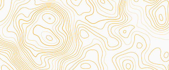 Outline cartography landscape. Modern poster design. Trendy cover with wavy lines, abstract background with lines, Abstract Vector Seamless Pattern with Linear Stylized Salmon Fish Fillet Texture. 