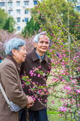 Senior Woman and Man Viewing and Admiring Flowers. A senior couple, 80 years old, is enjoying to...