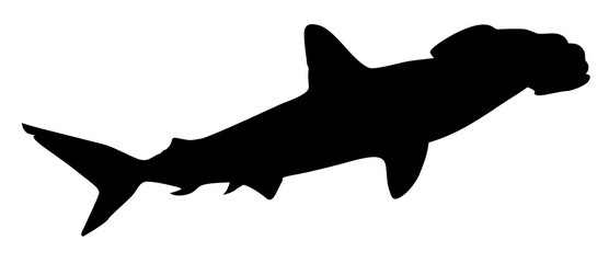 silhouette of a hammerhead shark
