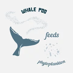 Foto auf Leinwand Whale poo feeds phytoplankton, importance for marine ecosystem © Inga
