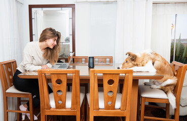 funny portrait of a blonde young woman and her collie dog sitting in the dining room looking each...