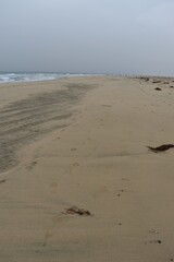 
A sandy beach on the island of Fuerteventura