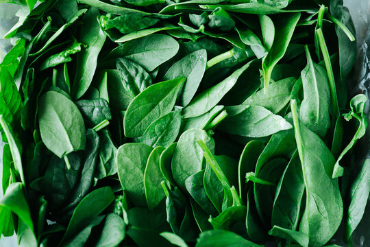 Fresh spinach leaves in a one gig mash. Greens in a texture. Top view.