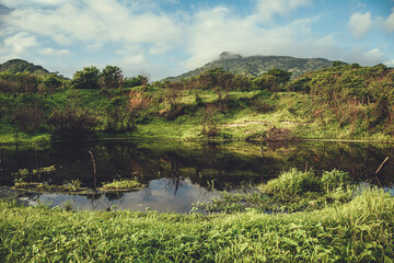 Fototapeta na wymiar Valle in Brazil