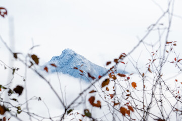 mountain framed by branches
