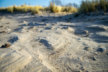 Windspuren im Sand