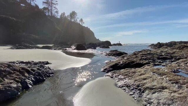 Low tide at the beach