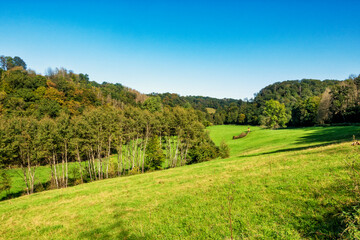 Naafbachtal im Bergischen Land