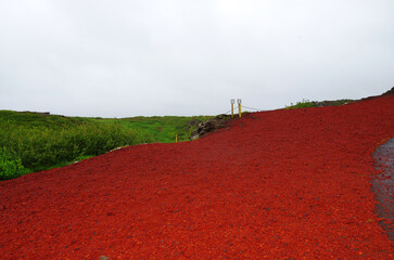 Supernatural landscape at geothermal field Mars like site Geysir Strokkur Haukadalur wasteland with...