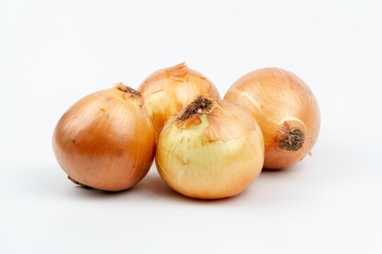 Four Fresh onions on a white background, close up on front view