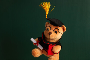 Teddy bear with graduation hat and diploma in front of green chalkboard. Graduation concept