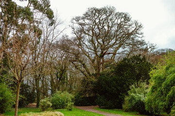 Fototapeta na wymiar Blarney Castle and Gardens