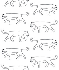 Vector seamless pattern of flat outline lioness isolated on white background