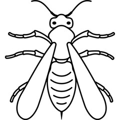 Wasp with a top view