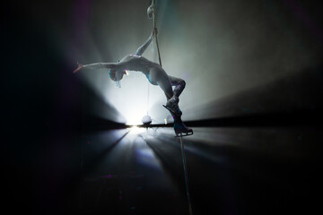 aerial gymnast performance in the circus