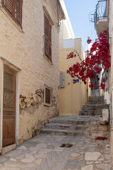 Greece. Syros island, Ermoupolis. Narrow street, stone paved alley, red bougainvillea