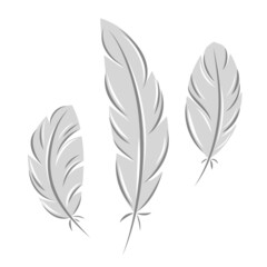 Set of bird feathers. Plumelet collection. Vector illustration Isolated on white.