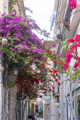 Fototapeta na wymiar Greece. Ermoupolis Syros island, Narrow street, traditional architecture and bougainvillea