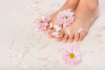 Obraz na płótnie Canvas chrysanthemum flowers and petals near cropped female feet on white background