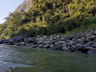 River stream waterfall in forest landscape background