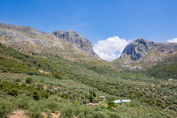 Fototapeta na wymiar Mountain road view. Sierra. Andalusia, Spain