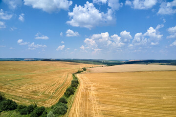 Fototapeta na wymiar Aerial landscape view of yellow cultivated agricultural field with dry straw of cut down wheat after harvesting