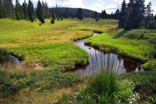 Březn&iacute;k is a secluded place located in the wide valley of the Luzensk&yacute; brook, 7.5 km southeast of Modrava in the cadastral area of Filipova Huť in the village of Modrava. The whole locality is one of 