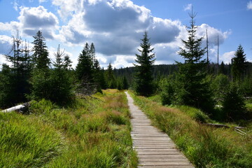 Gypsy moor in the Šumava National Park