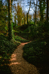 Blarney Castle and Gardens