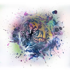 Foto op Plexiglas Bright abstract colorful background with tiger, paint splashes © reznik_val