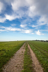 A pathway on Ditchling Beacon in Sussex with fluffy clouds and a blue sky overhead
