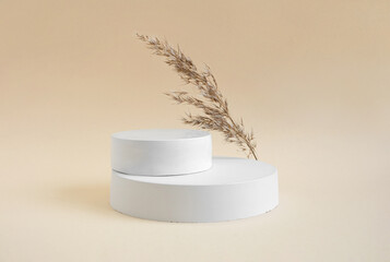 Podium for cosmetic product presentation. Abstract minimal geometrical form. Cylinder podium...
