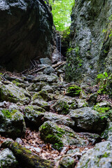 Leiter am Wanderweg in der Weichtalklamm beim Schneeberg, Niederösterreich, Österreich