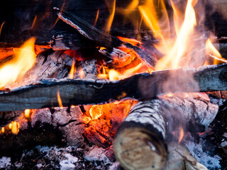 Burning fire. The fire burns in the forest. Texture of burning coals. Campfire for cooking in the forest. burning dry branches.
