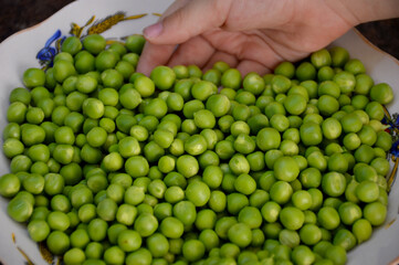 a child's hand picks up a handful of peeled green peas. delicious and healthy snack food