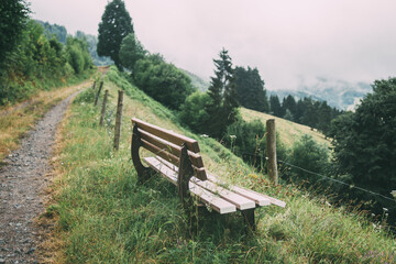 Wooden bench in grass on hill in the Black Forest, Schwarzwald in Germany