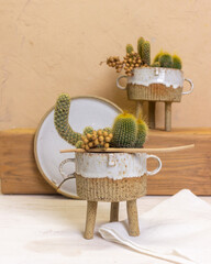 composition with cacti in a ceramic cachet