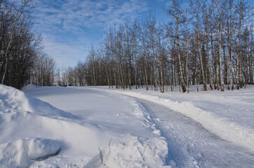 Winter Scenery at Elk Island National Park