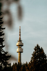 Obraz premium Television tower high above the trees.