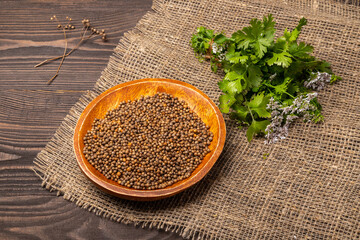 coriander seeds and greens on a wooden table