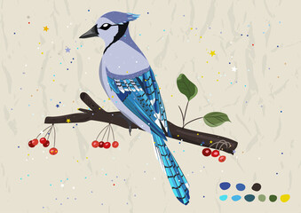 Poster with blue jay from new collection.