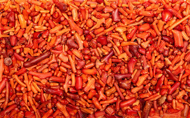 Pieces of dried red coral background 