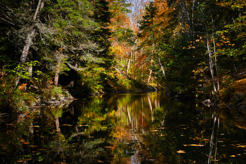 Fototapeta na wymiar Autumn scene of a flat water river surrounded by colourful trees with reflection