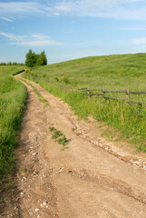 Fototapeta na wymiar Dirt road between green meadows, Poland